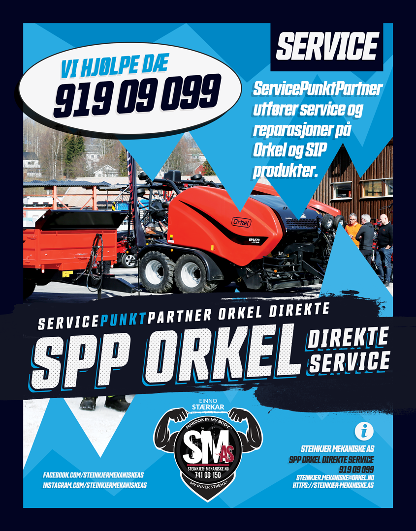 SM SPP SERVICE 91909099-1080-NETT