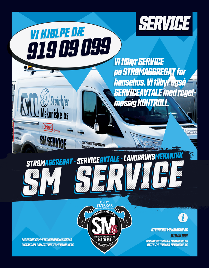 SM SERVICE 91909099